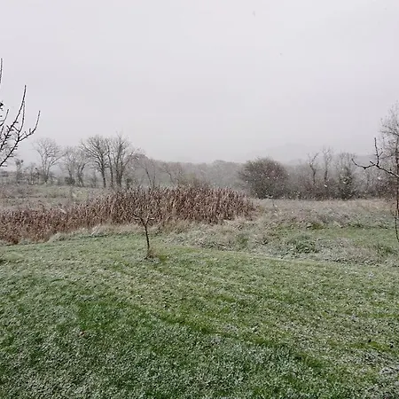 & D'hotes Peyrecout 3* Laparrouquial