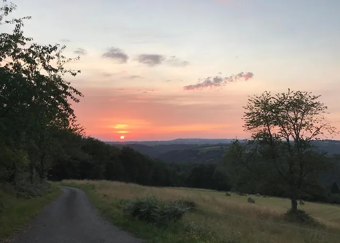 Bed and Breakfast & D'hotes Peyrecout