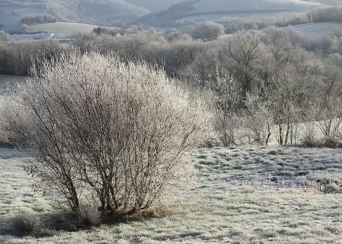 Bed and Breakfast & D'hotes Peyrecout 3*