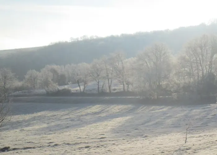 Bed and Breakfast & D'hotes Peyrecout