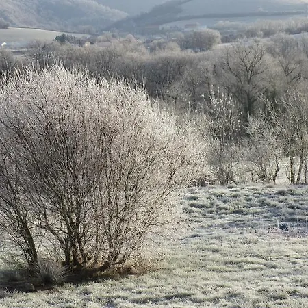 Bed and breakfast & D'hotes Peyrecout 3*